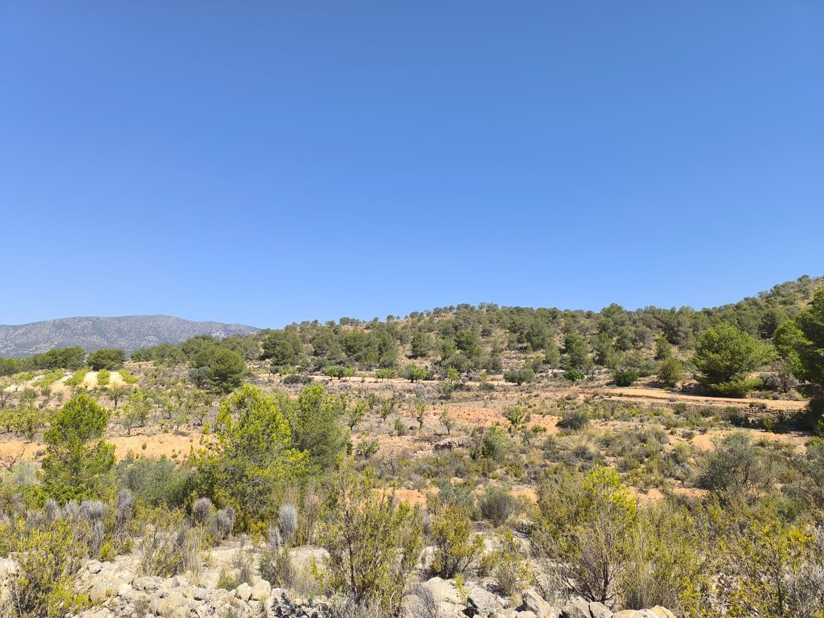 Se vende Terreno Rustico  en Costa Blanca, Alicante, España