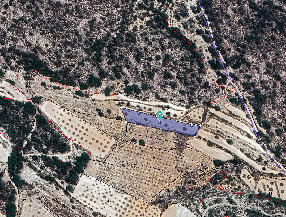 Se vende Terreno Rustico  en Costa Blanca, Alicante, España