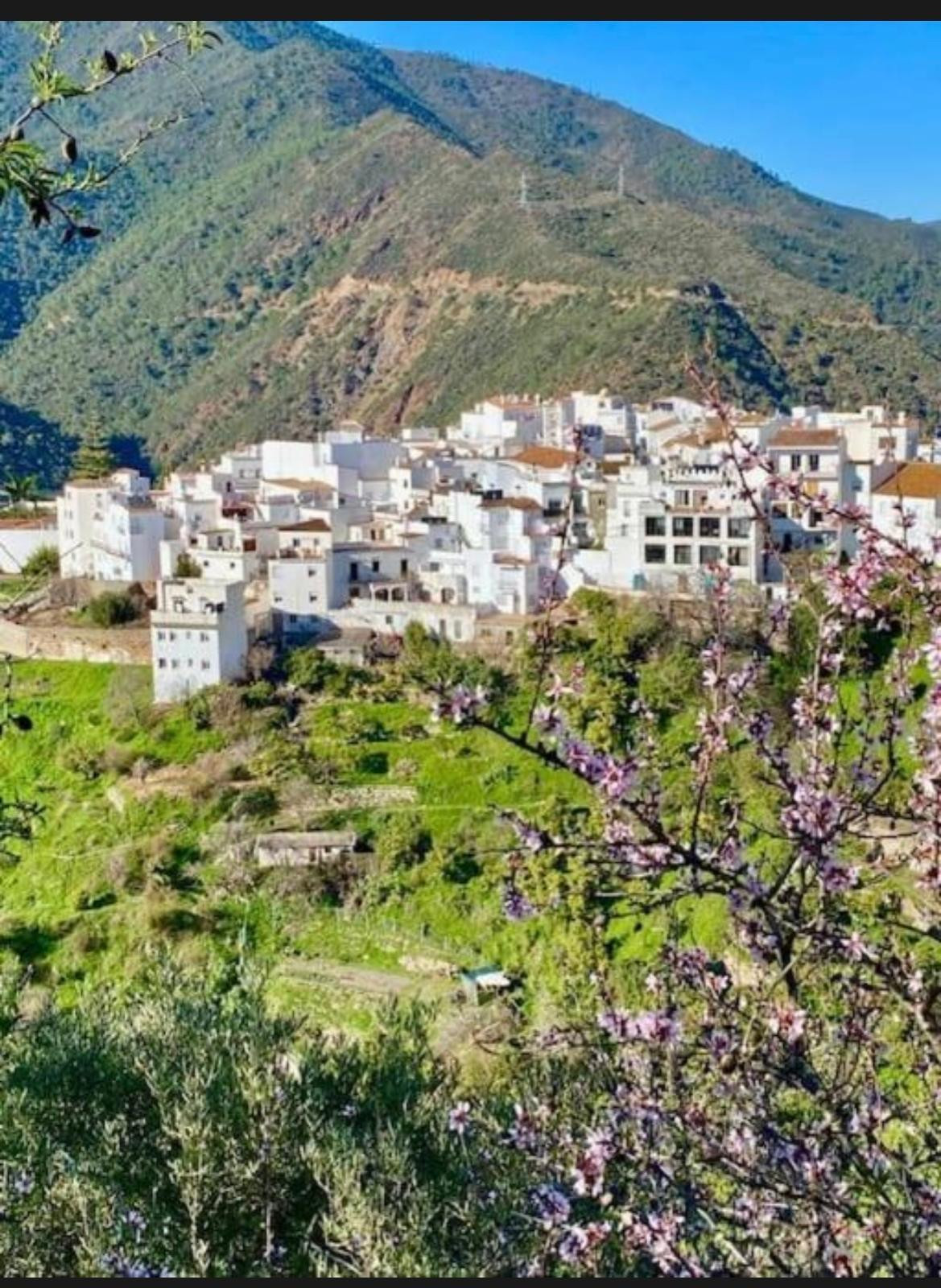 Se vende Adosada de 4 dormitorios en Costa Del Sol, Málaga, España