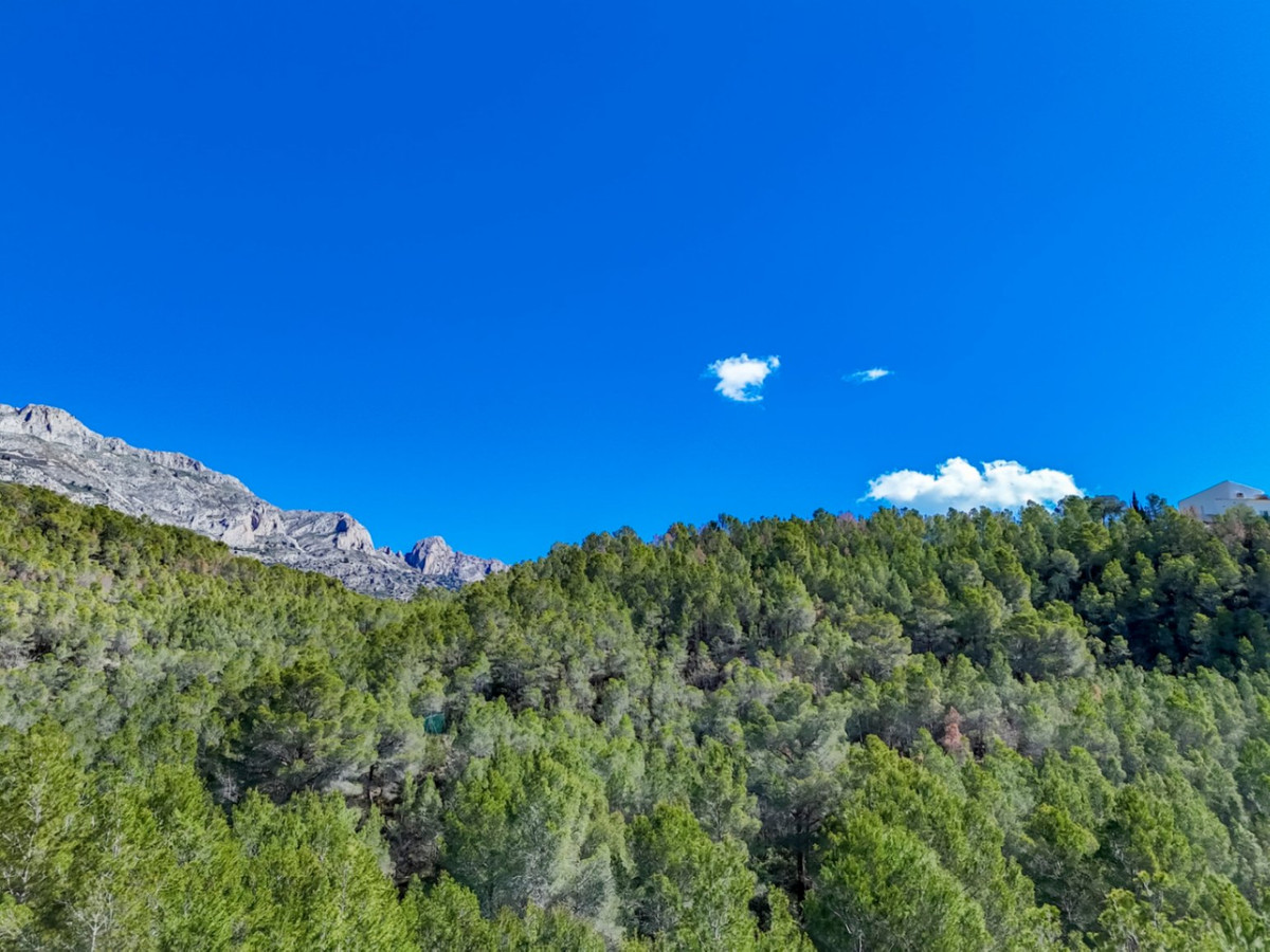 Se vende Terreno Rustico  en Costa Blanca, Alicante, España