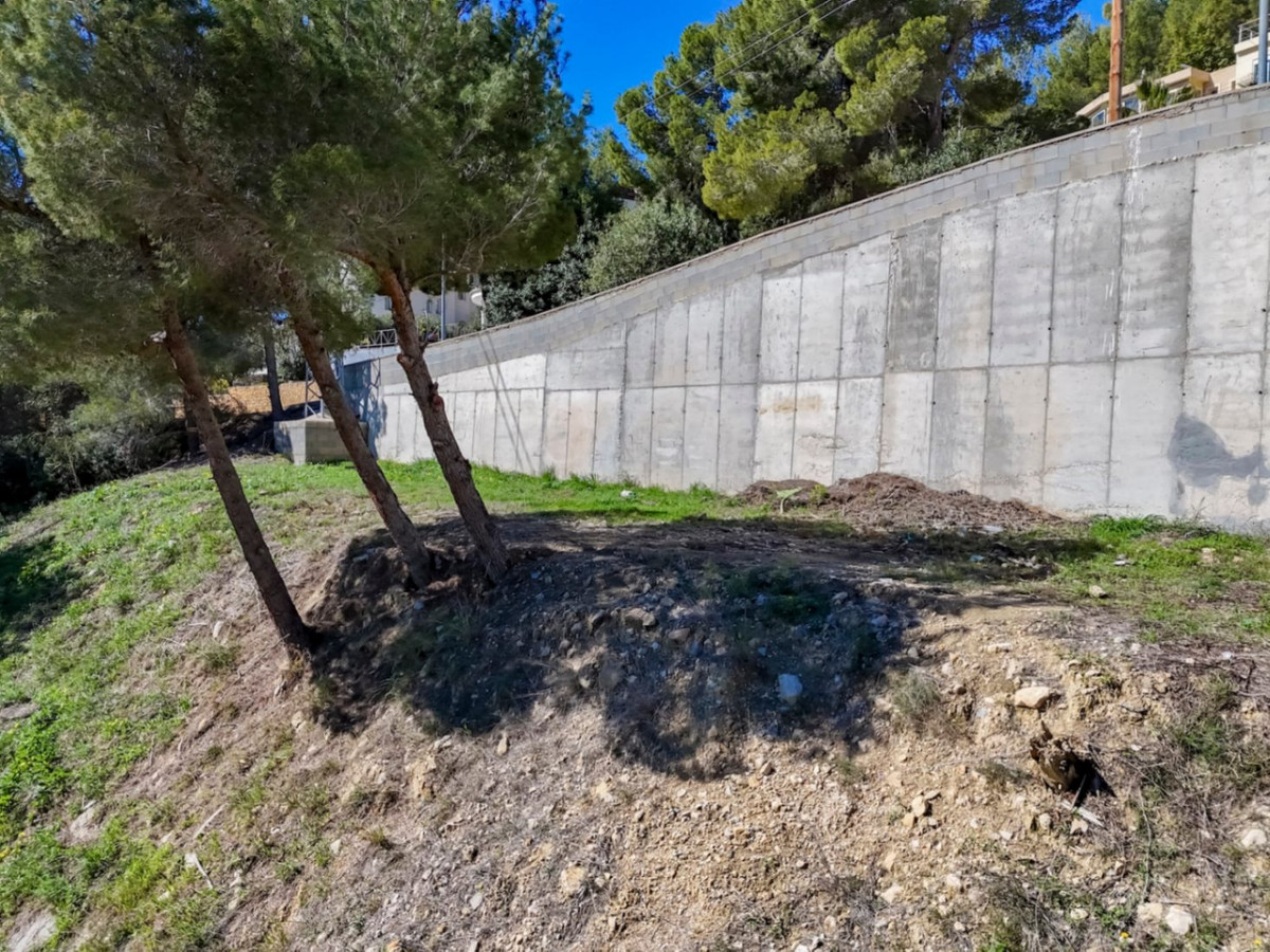 Se vende Terreno Rustico  en Costa Blanca, Alicante, España