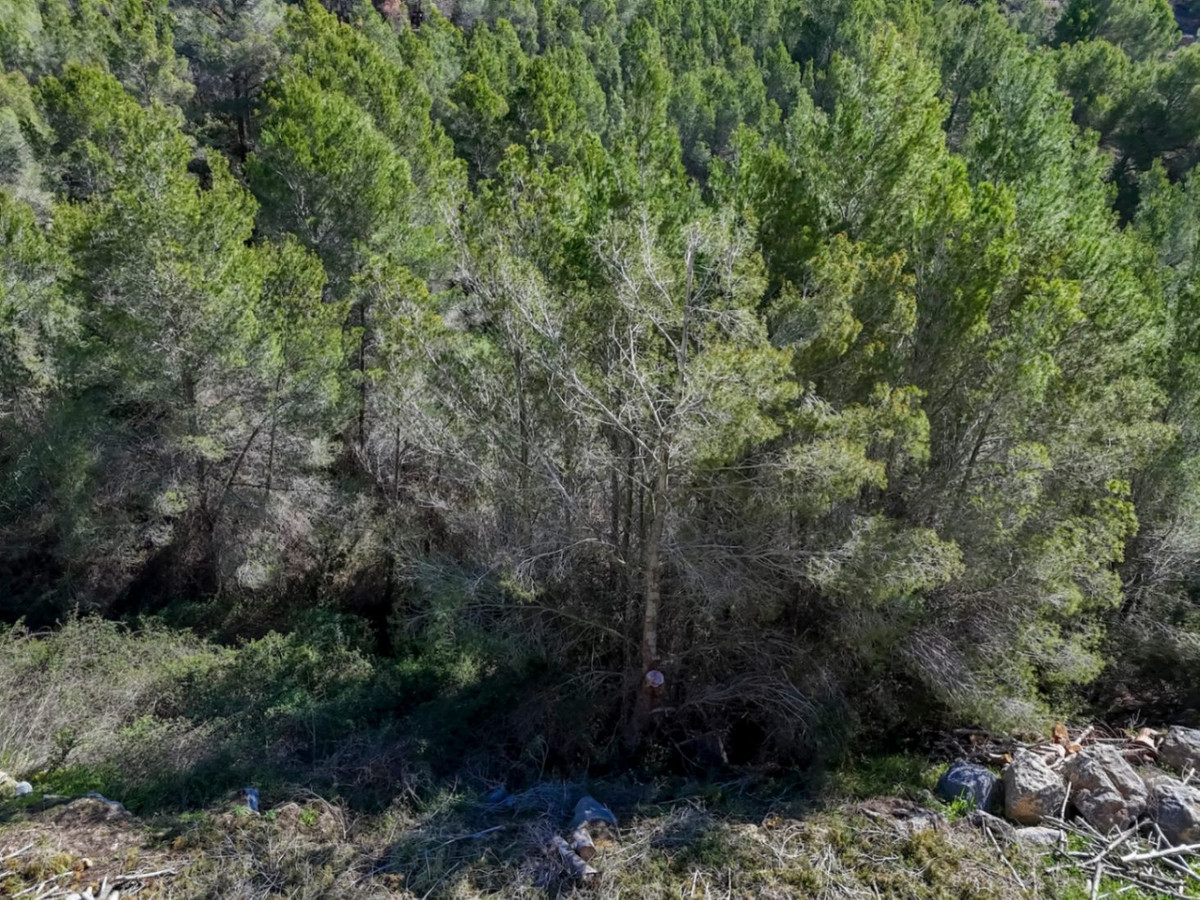 Se vende Terreno Rustico  en Costa Blanca, Alicante, España