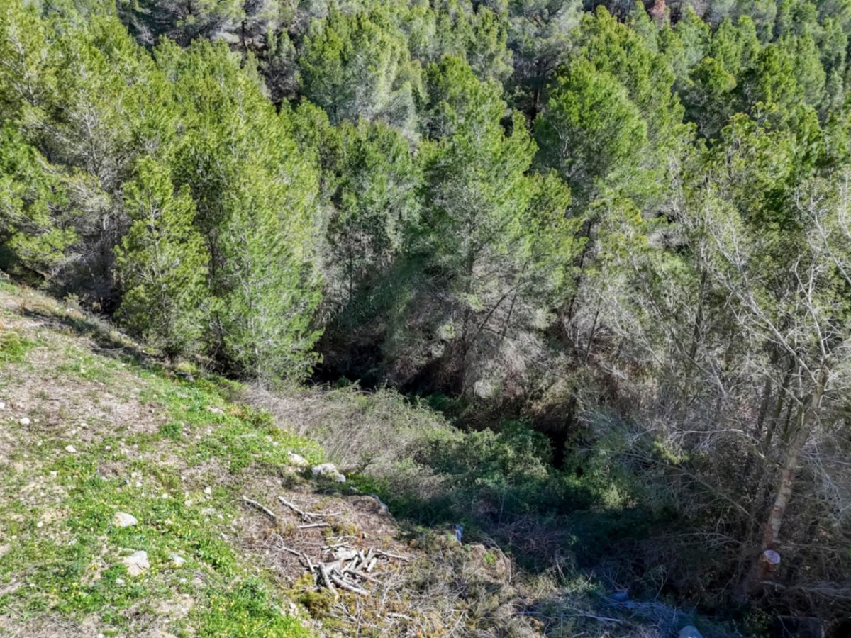 Se vende Terreno Rustico  en Costa Blanca, Alicante, España