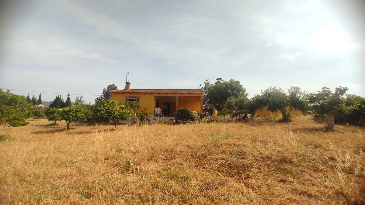 Propiedad 39