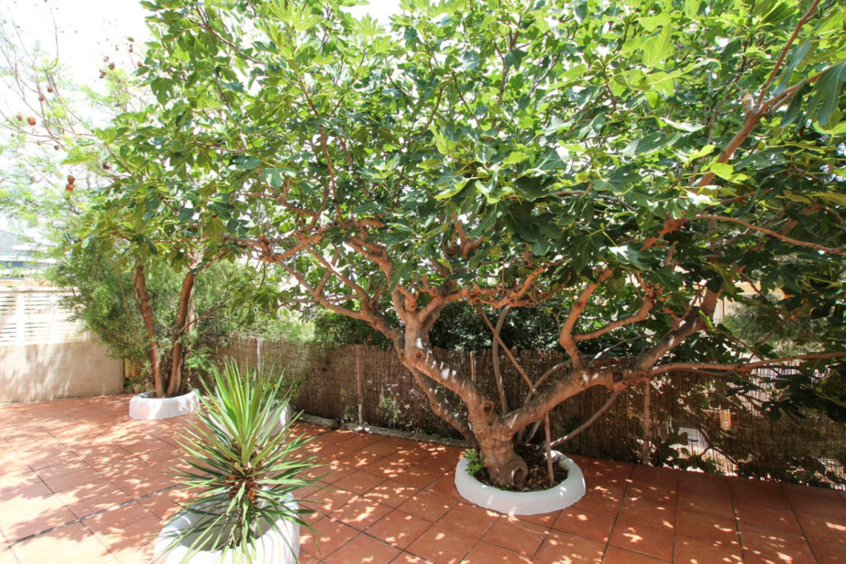 Se vende Villa - Chalet de 4 dormitorios en Costa Blanca, Alicante, España
