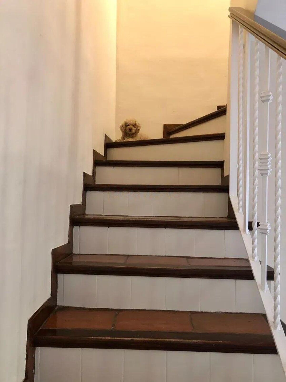 3 Bed Townhouse for sale in Guadalmina Baja Costa Del Sol, Málaga, Spain