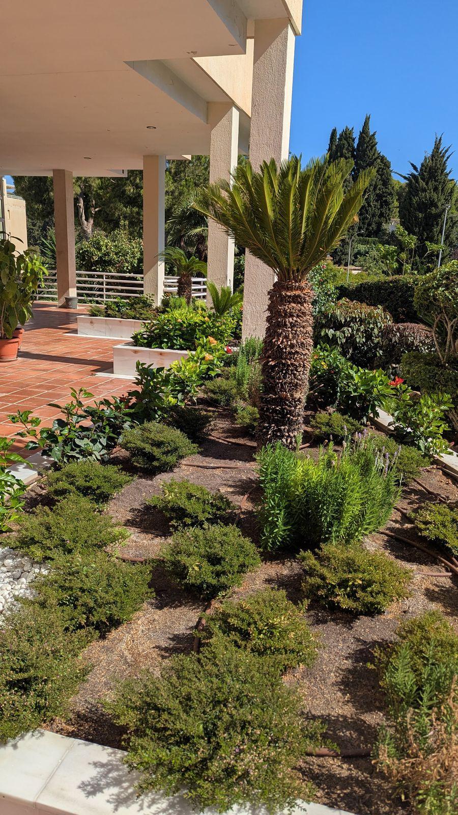3 Bed Apartment for sale in Limonar Málaga Ciudad, Málaga, Spain