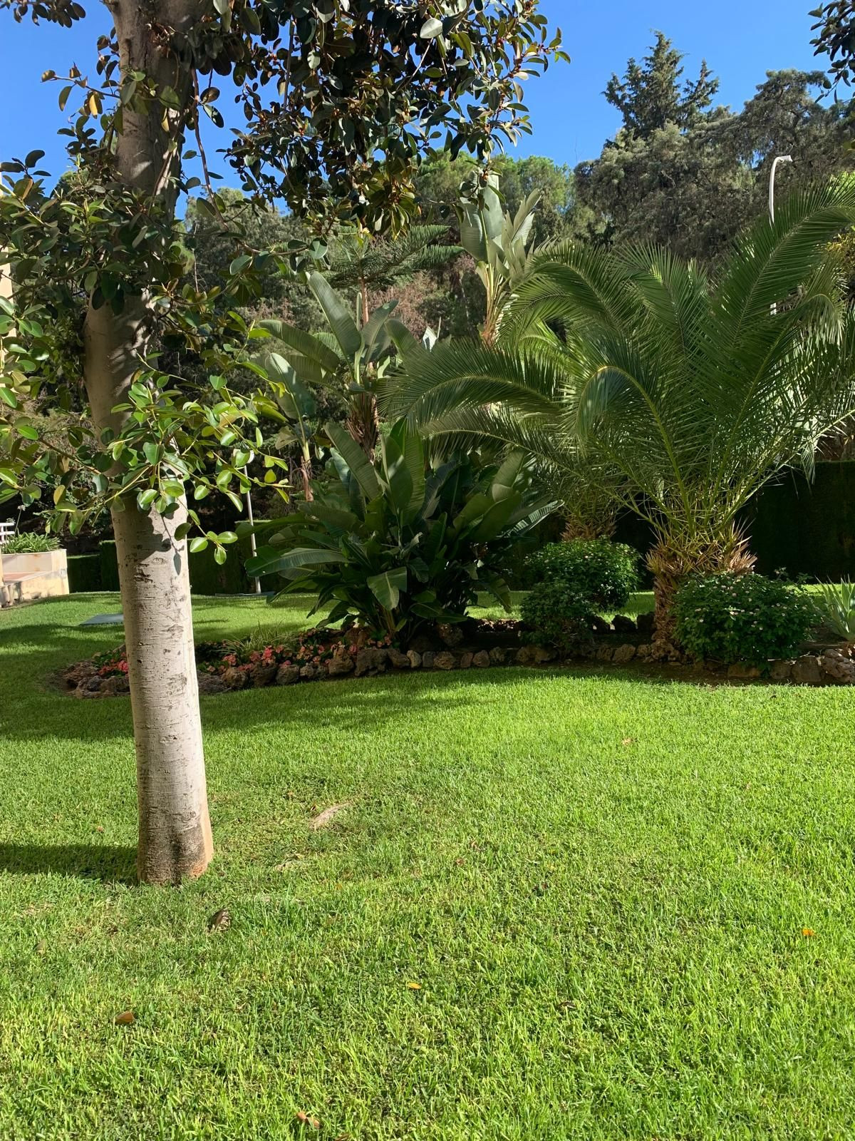 3 Bed Apartment for sale in Limonar Málaga Ciudad, Málaga, Spain