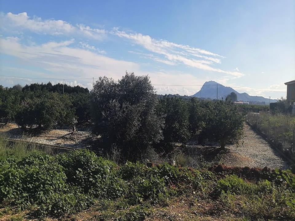 Se vende Terreno Rustico de 5 dormitorios en Costa Blanca, Alicante, España