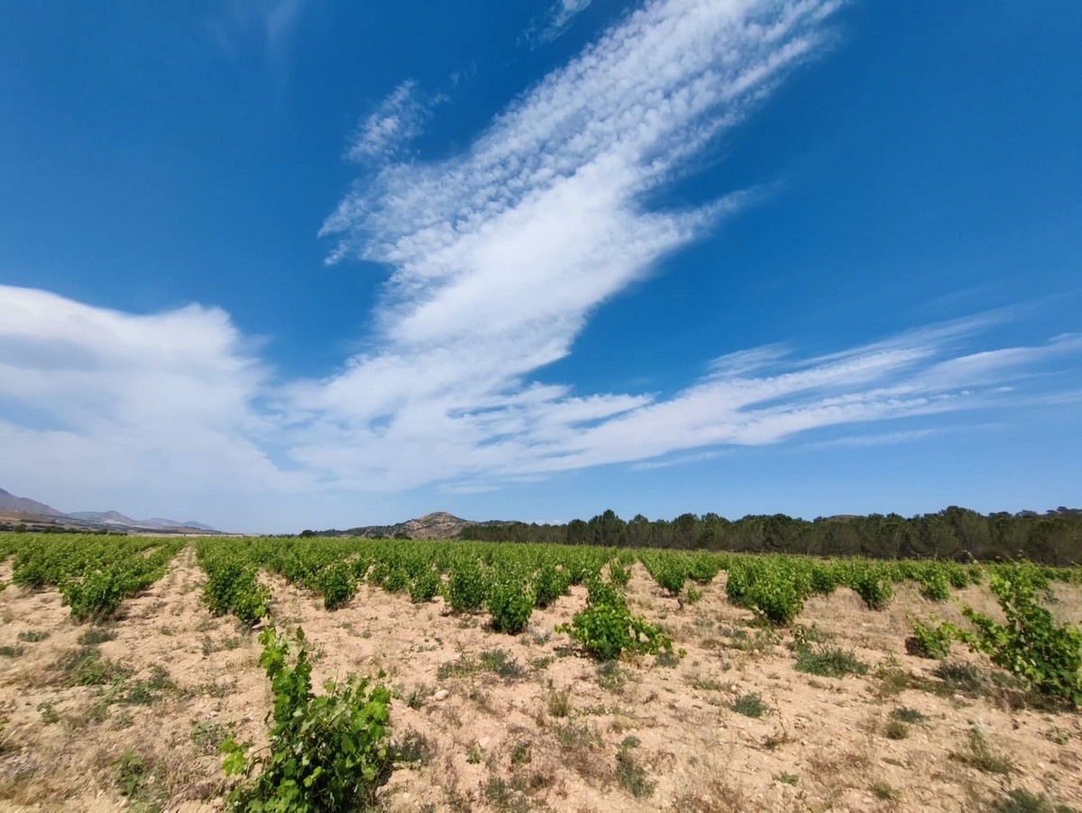 Se vende Finca - Cortijo de 10 dormitorios en Costa Calida, Murcia, España