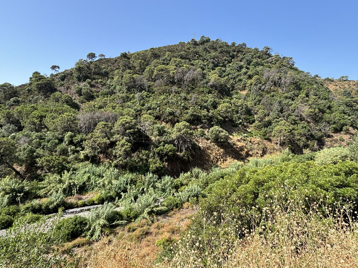 Plots for sale in El Padron Costa Del Sol, Málaga, Spain