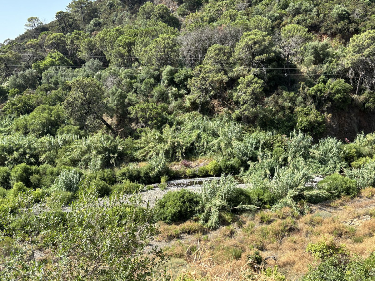 Plots for sale in El Padron Costa Del Sol, Málaga, Spain