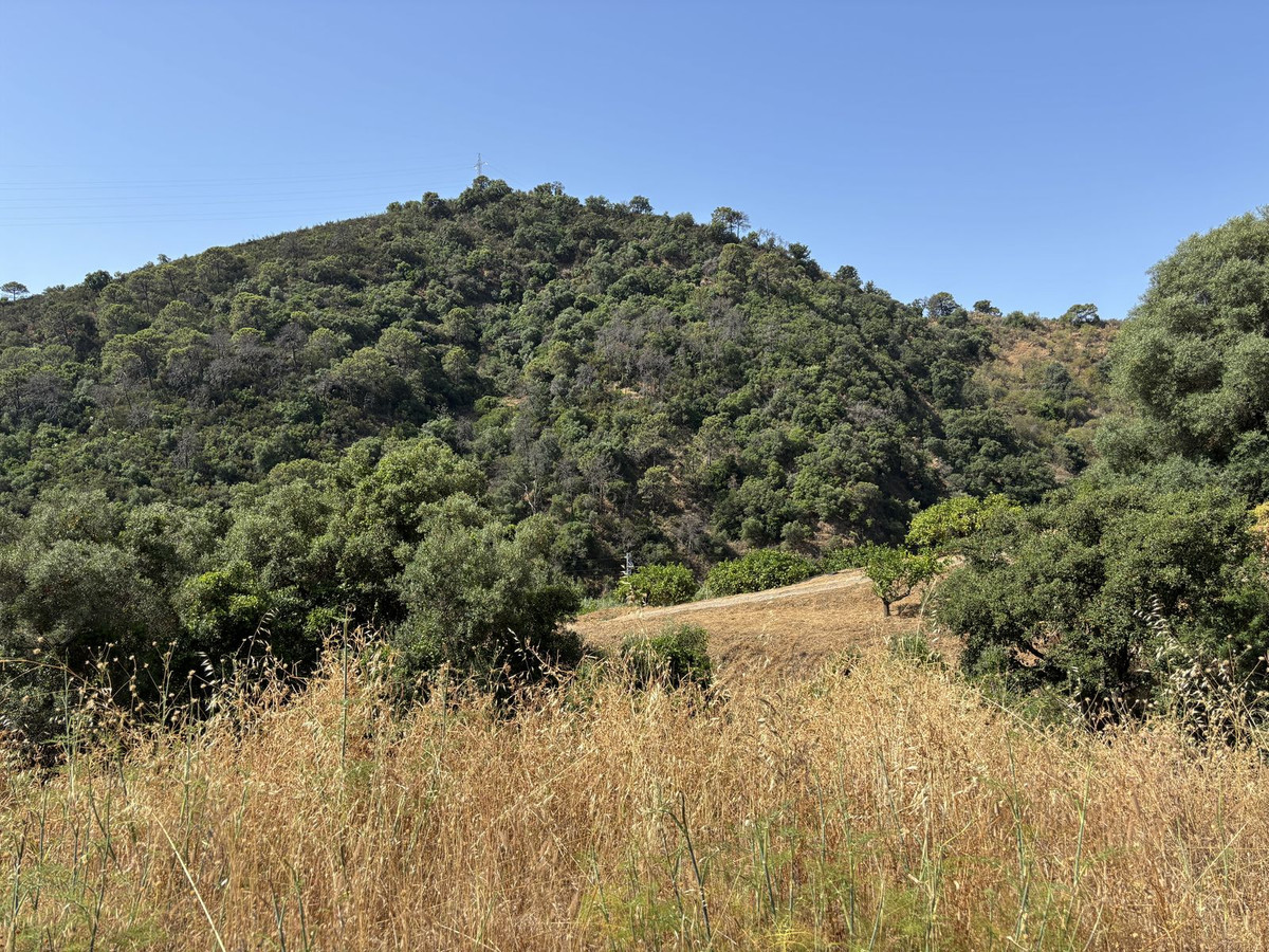 Plots for sale in El Padron Costa Del Sol, Málaga, Spain