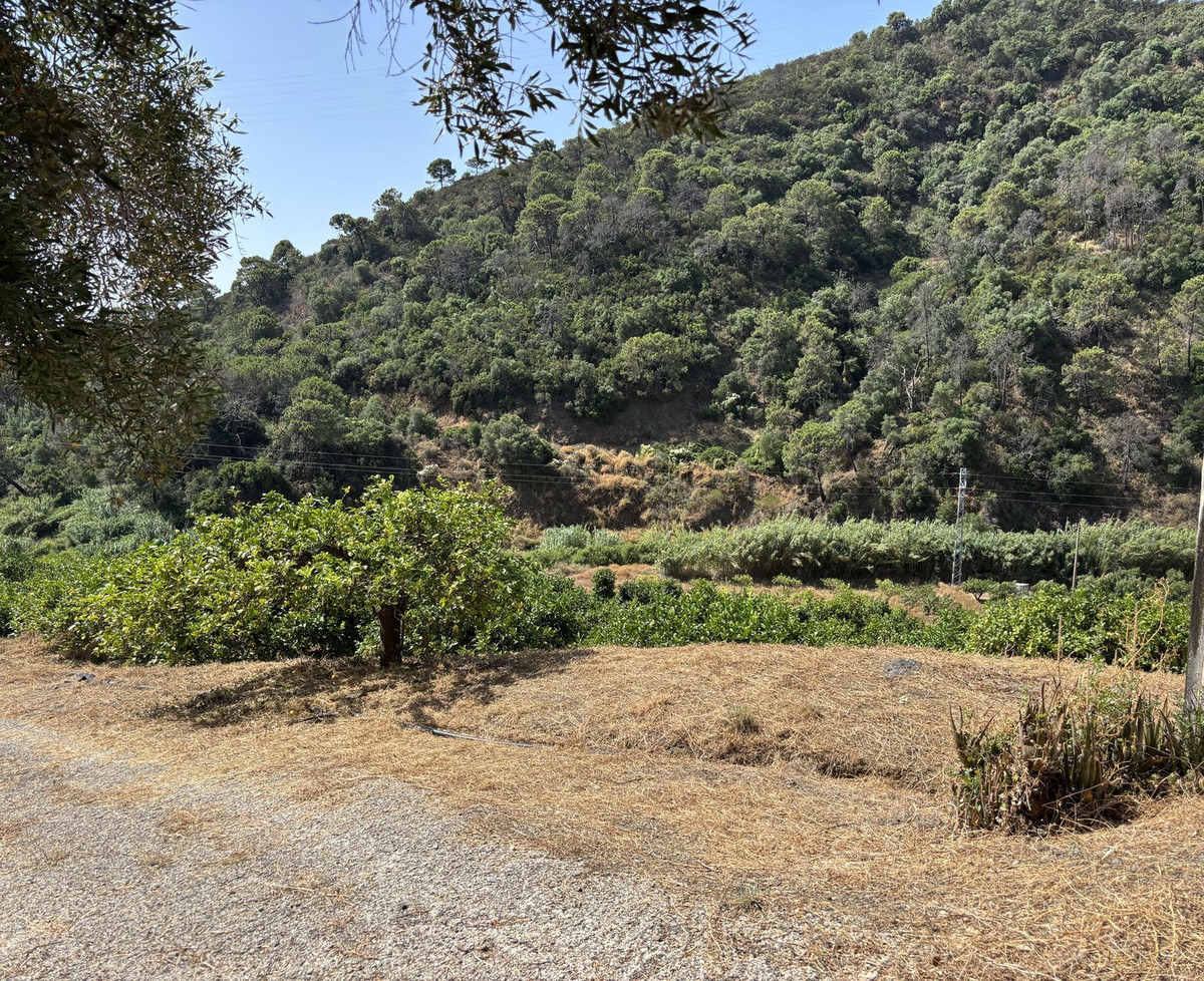 Plots for sale in El Padron Costa Del Sol, Málaga, Spain