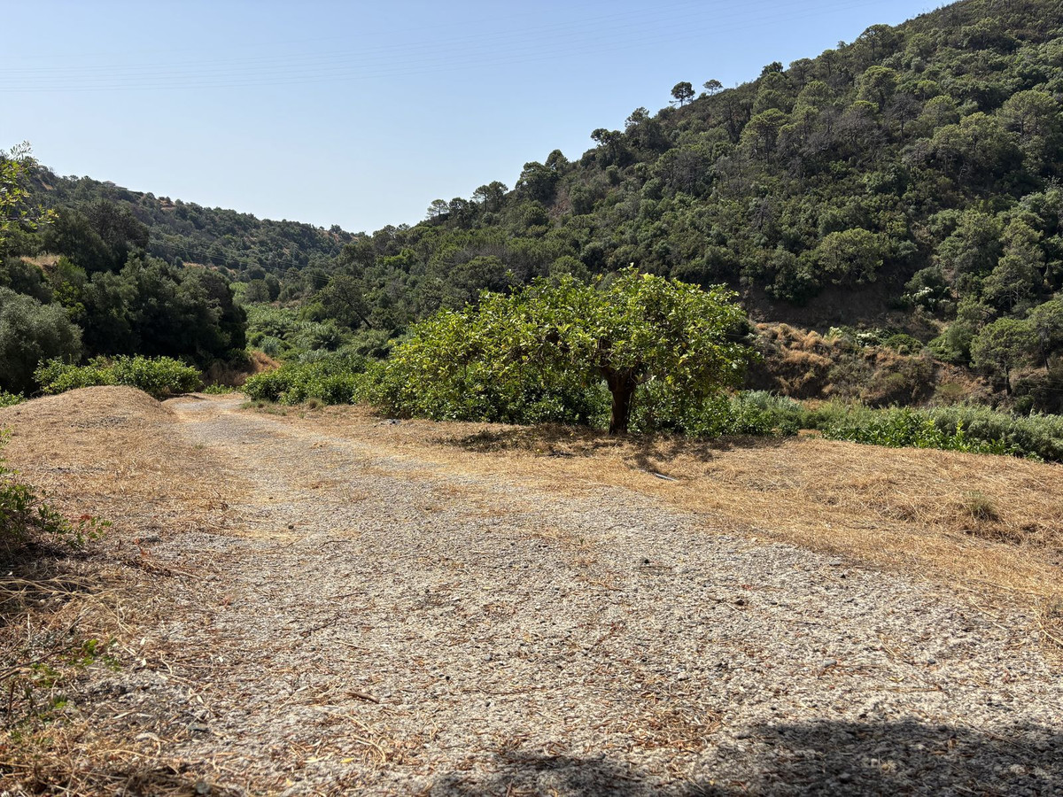 Plots for sale in El Padron Costa Del Sol, Málaga, Spain
