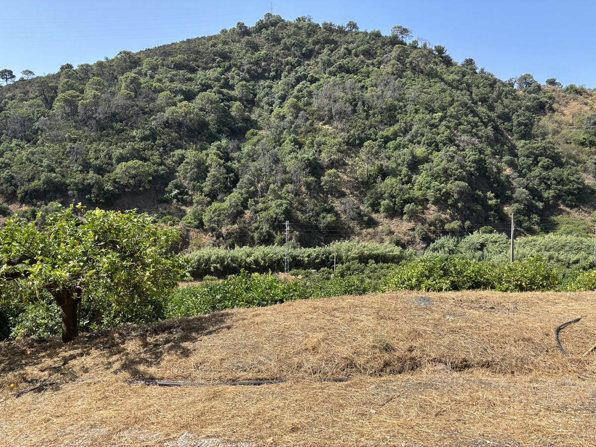 Plots for sale in El Padron Costa Del Sol, Málaga, Spain