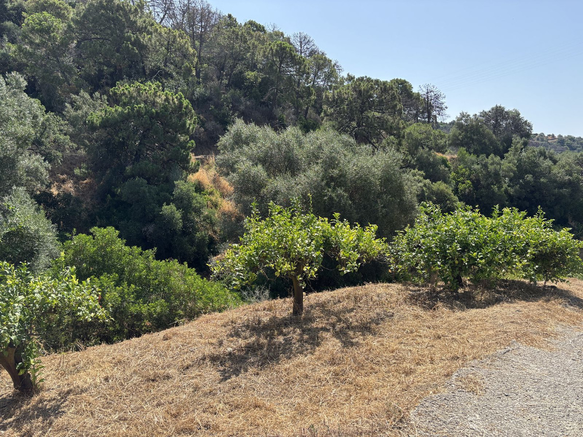 Plots for sale in El Padron Costa Del Sol, Málaga, Spain