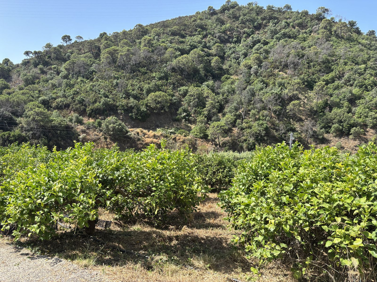 Plots for sale in El Padron Costa Del Sol, Málaga, Spain