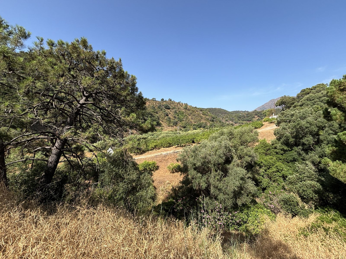 Plots for sale in El Padron Costa Del Sol, Málaga, Spain