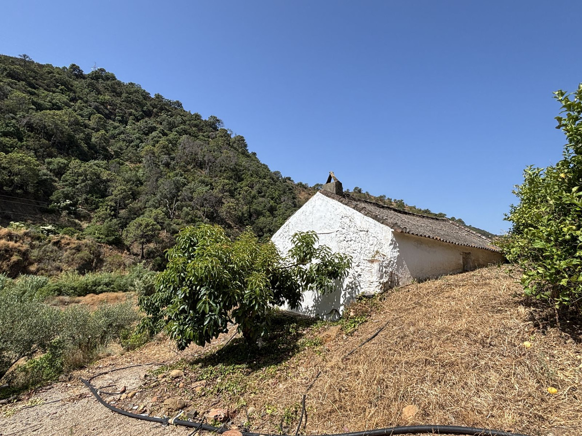 Plots for sale in El Padron Costa Del Sol, Málaga, Spain