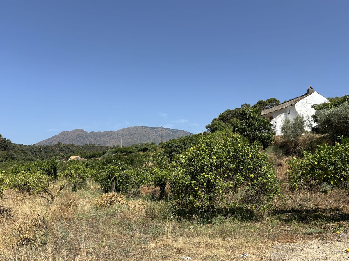 Plots for sale in El Padron Costa Del Sol, Málaga, Spain