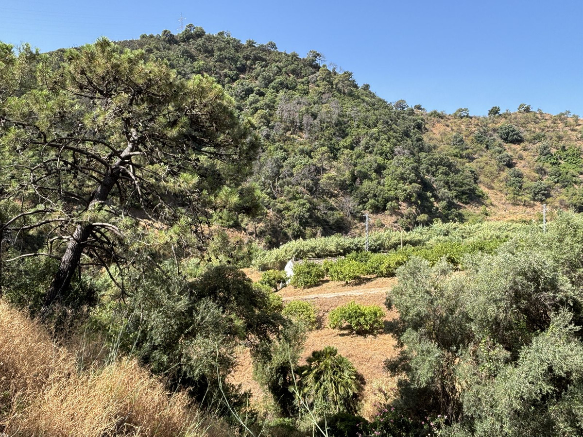 Plots for sale in El Padron Costa Del Sol, Málaga, Spain
