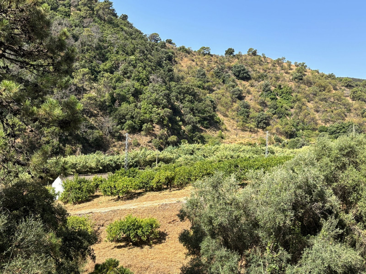 Plots for sale in El Padron Costa Del Sol, Málaga, Spain