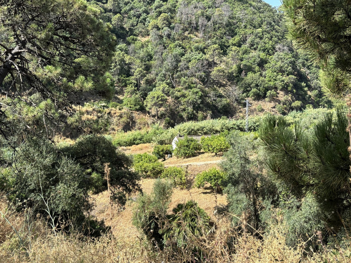 Plots for sale in El Padron Costa Del Sol, Málaga, Spain