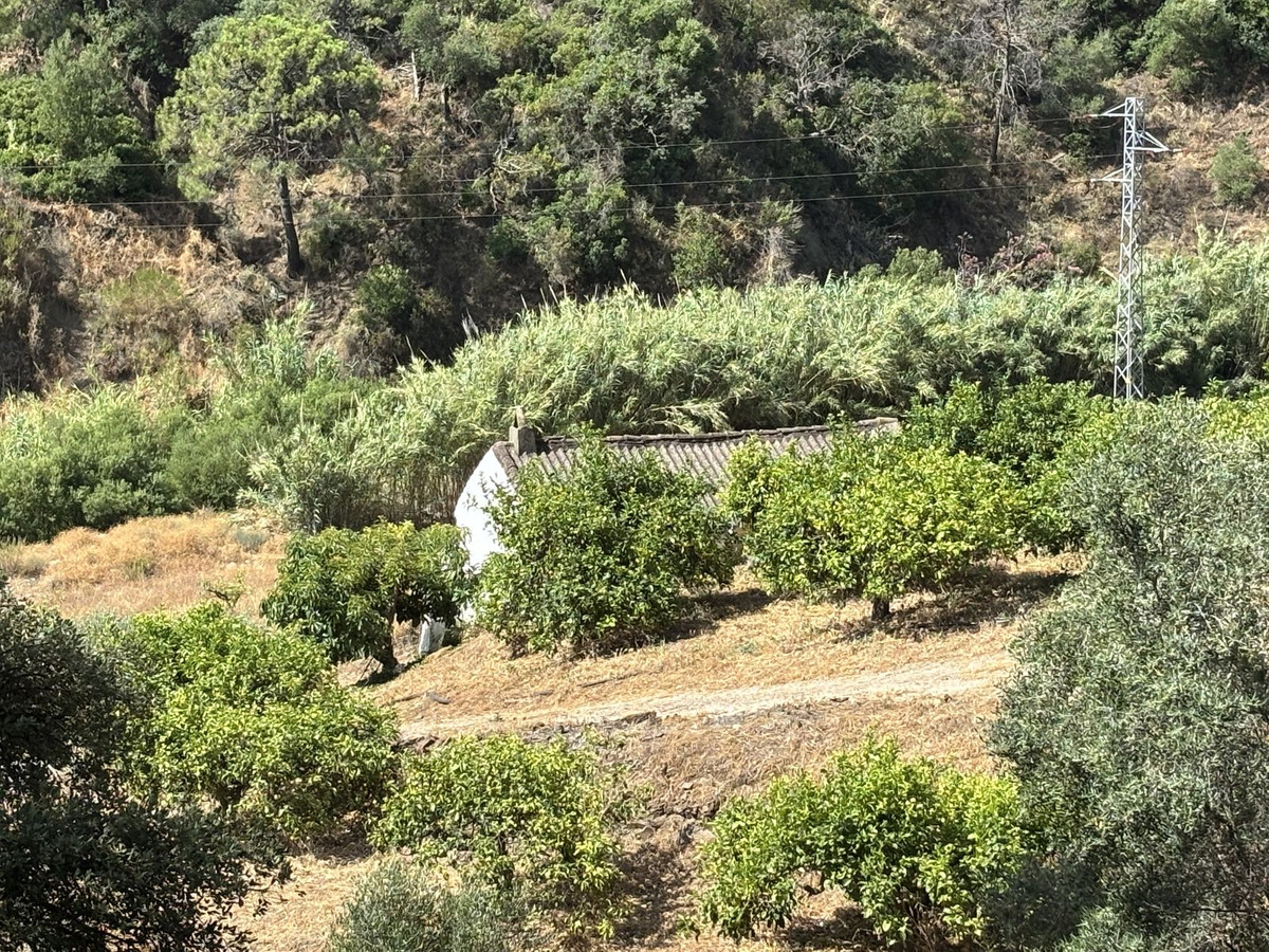 Plots for sale in El Padron Costa Del Sol, Málaga, Spain