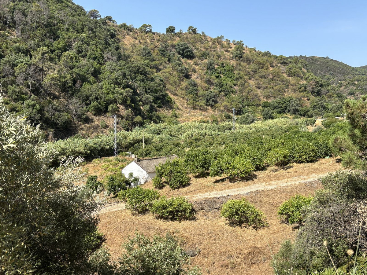 Plots for sale in El Padron Costa Del Sol, Málaga, Spain