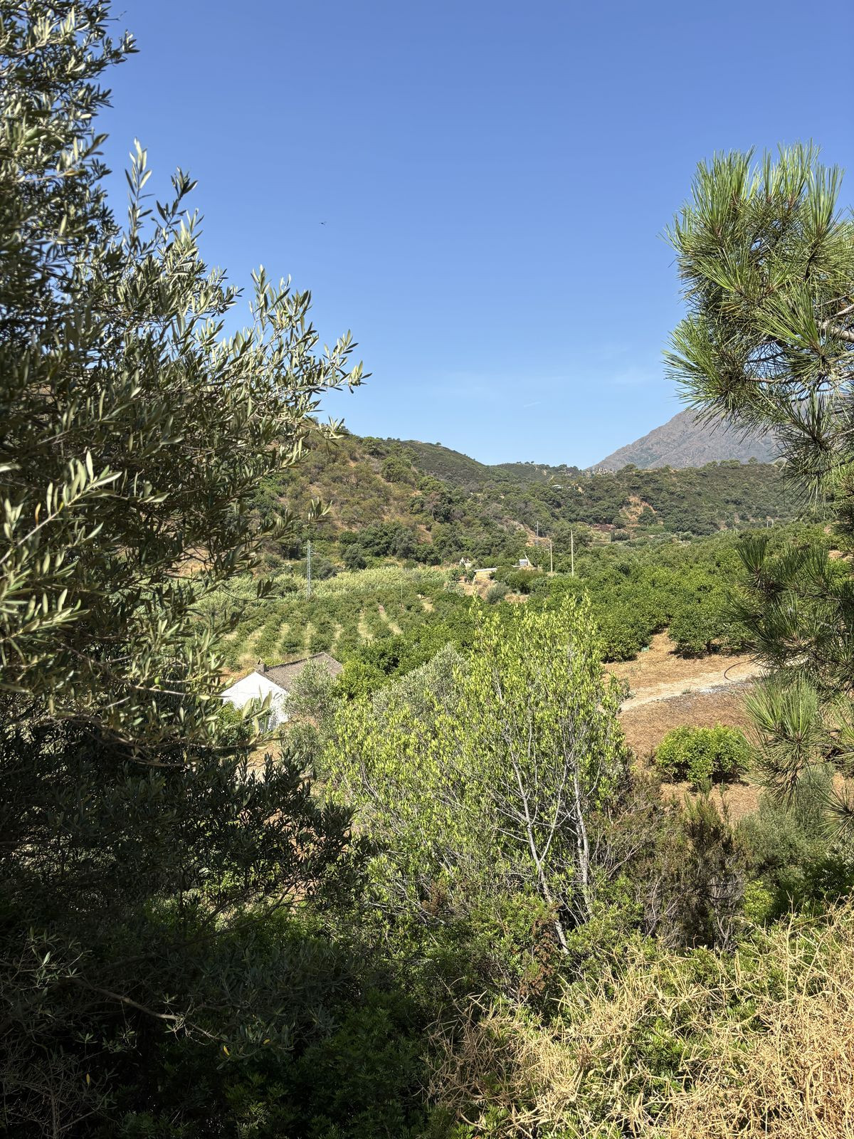 Plots for sale in El Padron Costa Del Sol, Málaga, Spain
