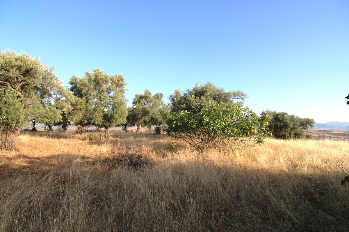 Se vende Terreno Rustico  en Costa Del Sol, Málaga, España