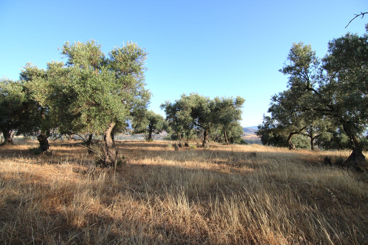 Se vende Terreno Rustico  en Costa Del Sol, Málaga, España
