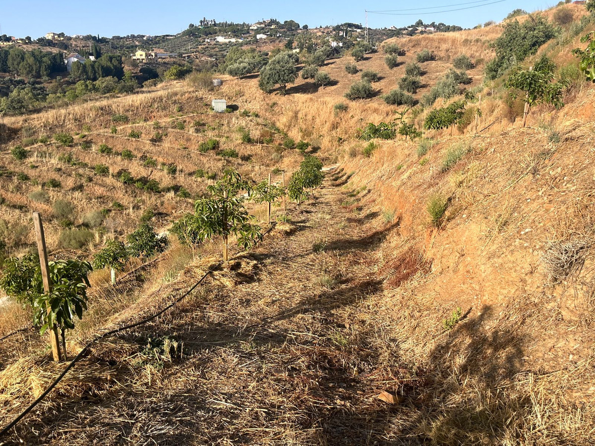 Se vende Terreno Rustico  en Costa Del Sol, Málaga, España