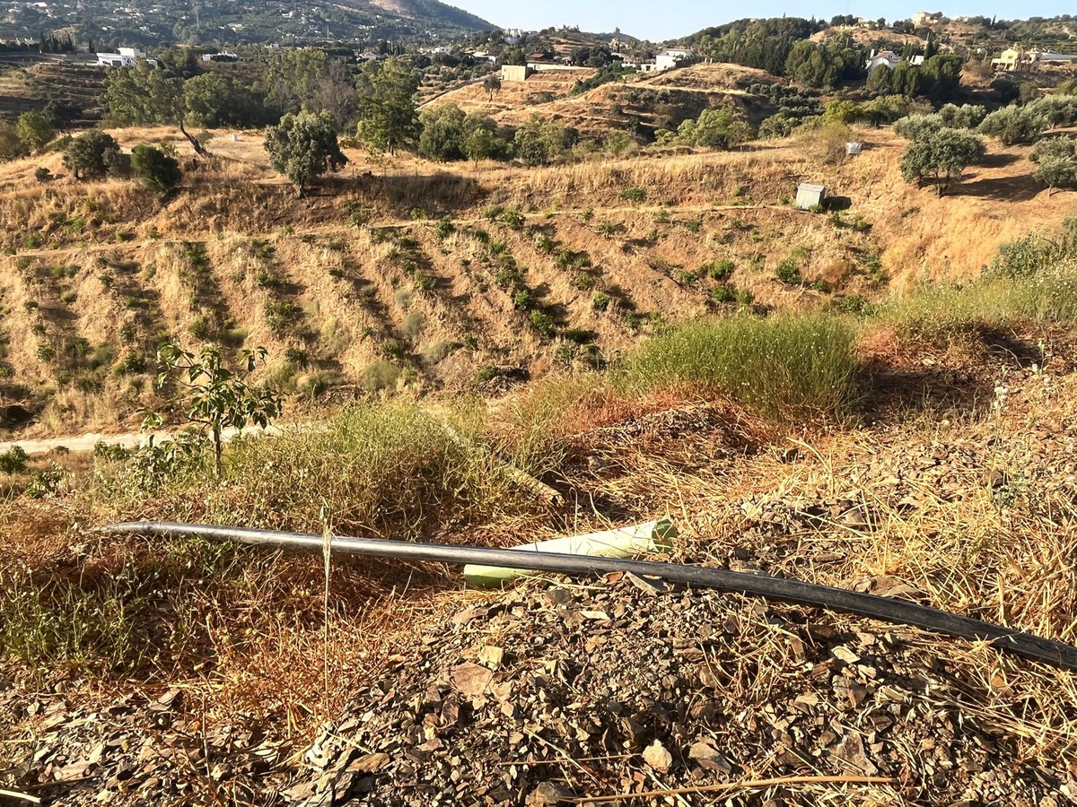 Se vende Terreno Rustico  en Costa Del Sol, Málaga, España