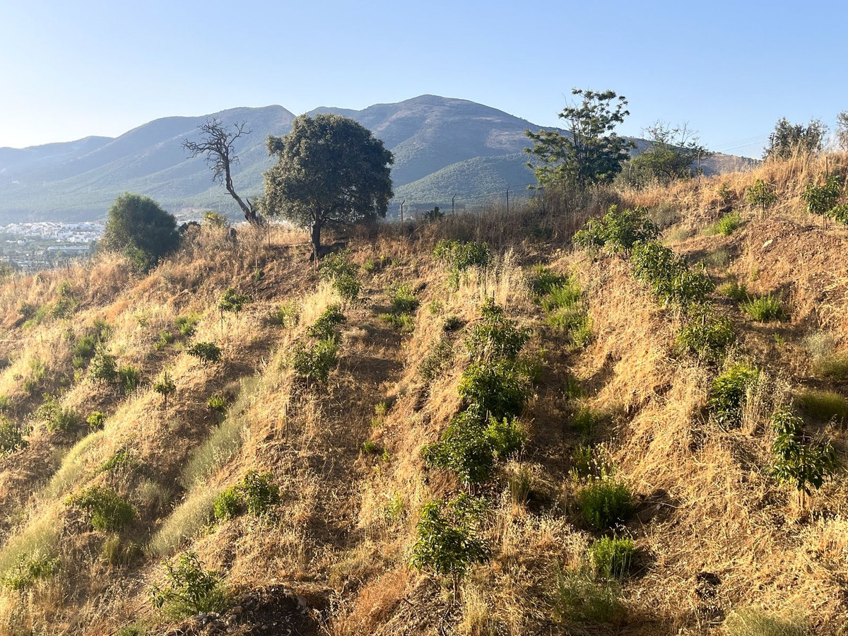 Se vende Terreno Rustico  en Costa Del Sol, Málaga, España