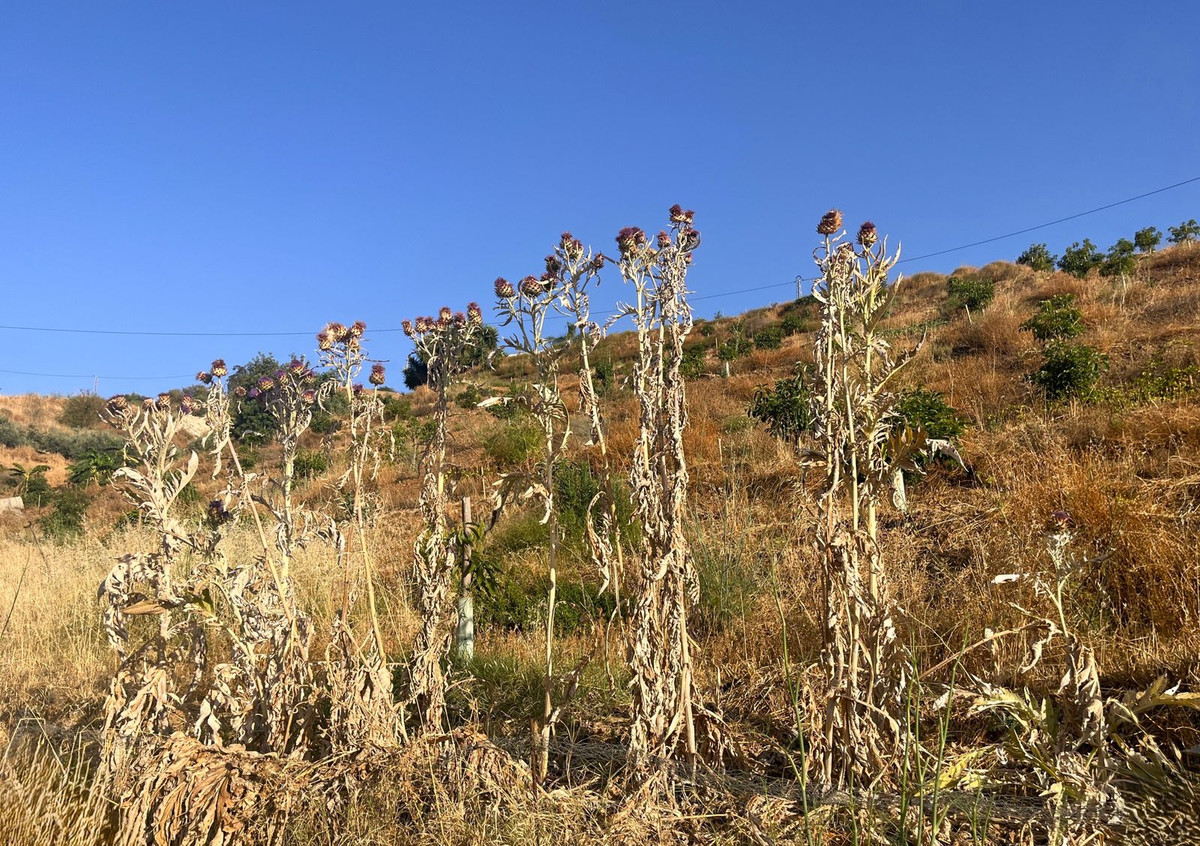 Se vende Terreno Rustico  en Costa Del Sol, Málaga, España