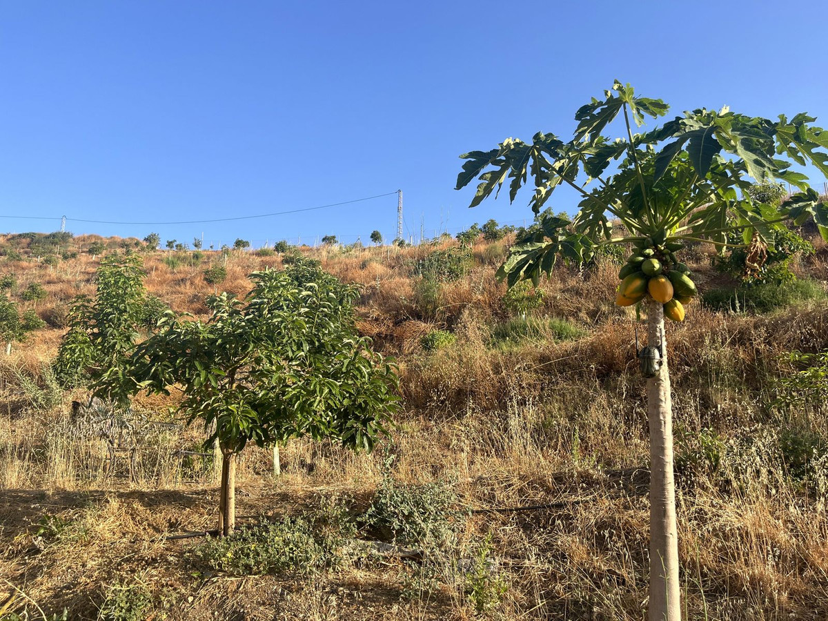 Se vende Terreno Rustico  en Costa Del Sol, Málaga, España