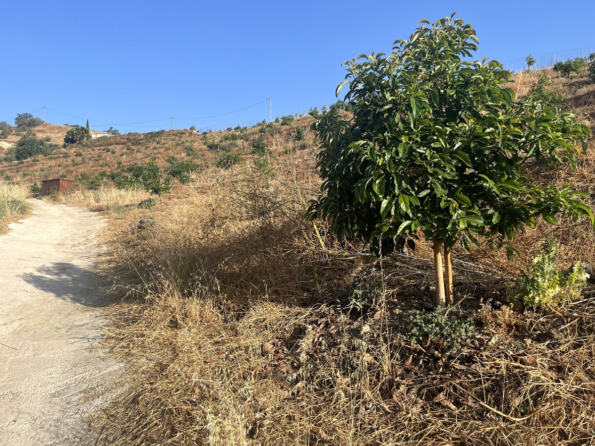 Se vende Terreno Rustico  en Costa Del Sol, Málaga, España