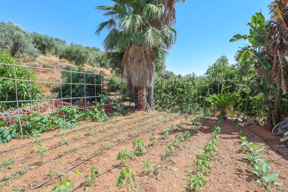 Se vende Granja de 1 dormitorios en Costa Del Sol, Málaga, España