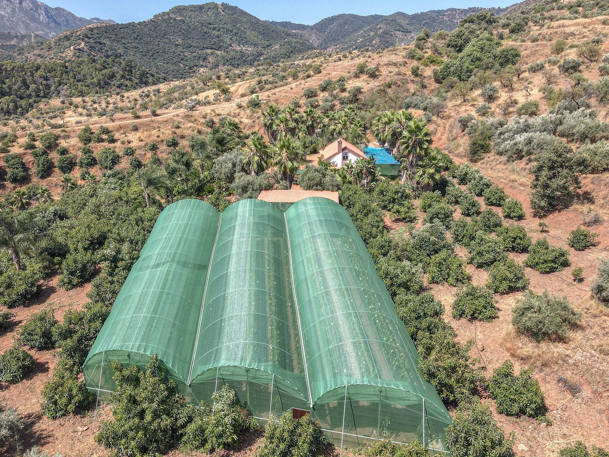 Se vende Granja de 1 dormitorios en Costa Del Sol, Málaga, España
