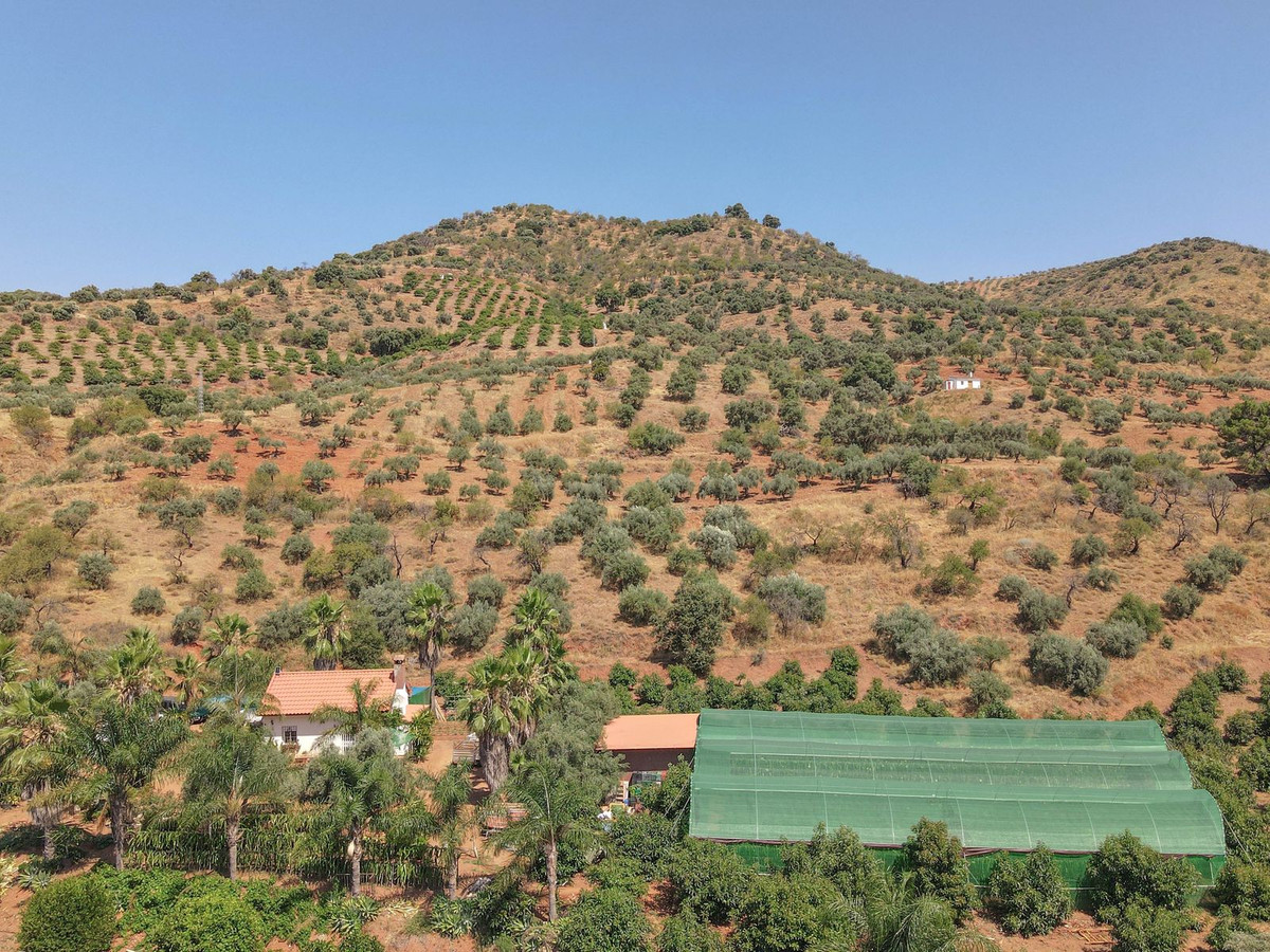 Se vende Granja de 1 dormitorios en Costa Del Sol, Málaga, España