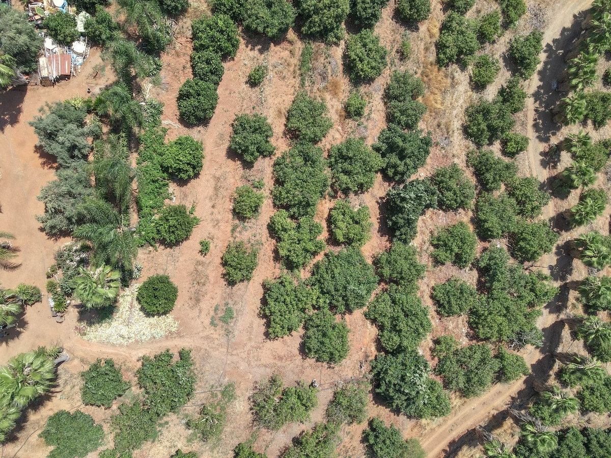 Se vende Granja de 1 dormitorios en Costa Del Sol, Málaga, España