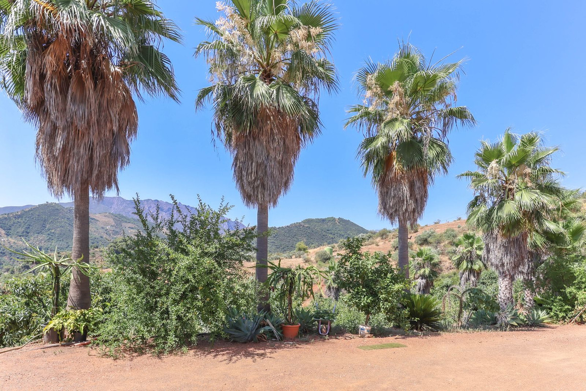 Se vende Granja de 1 dormitorios en Costa Del Sol, Málaga, España