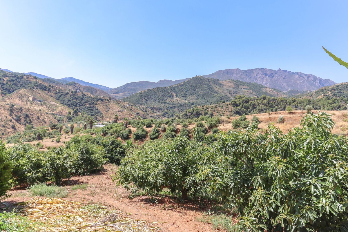 Se vende Granja de 1 dormitorios en Costa Del Sol, Málaga, España