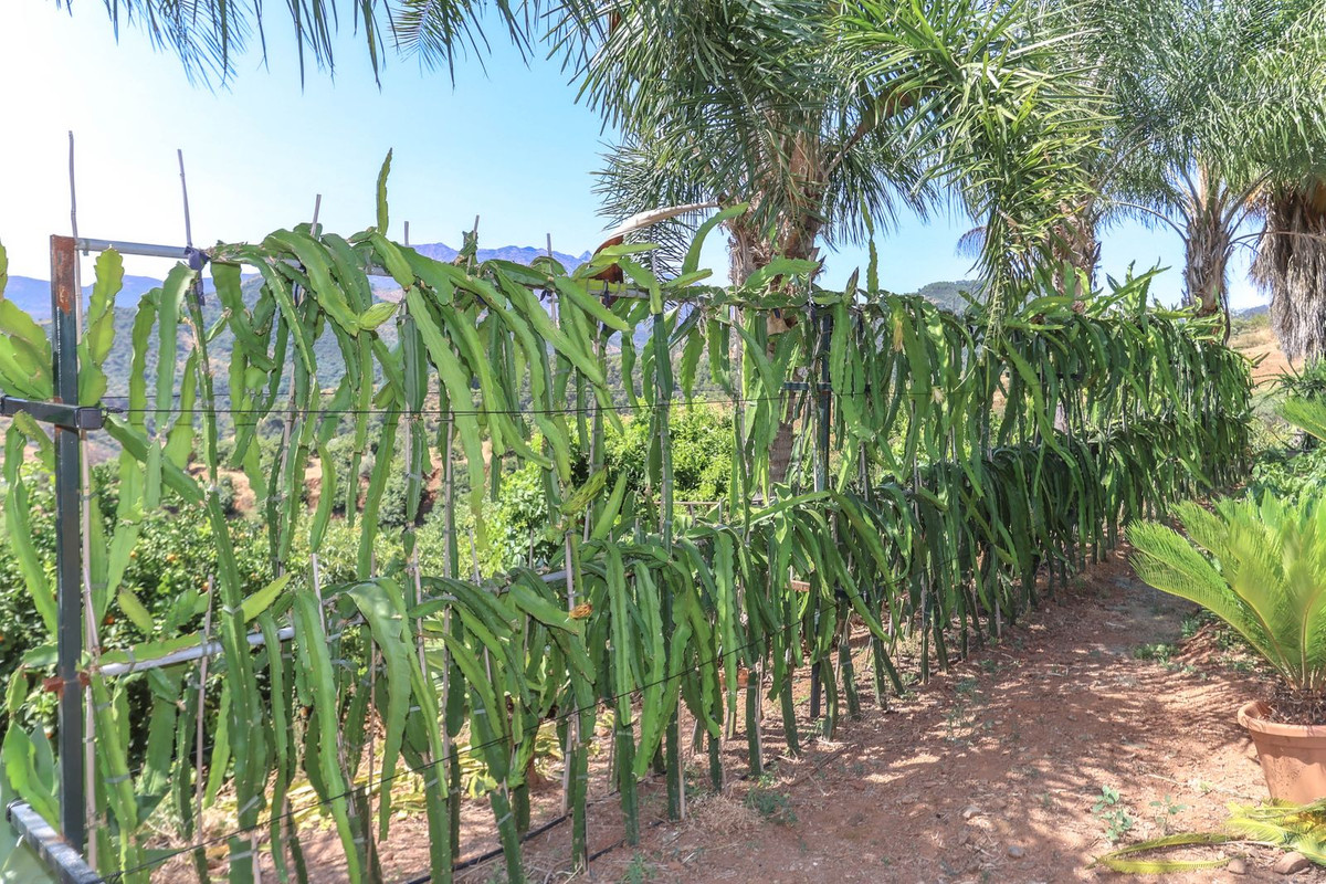 Se vende Granja de 1 dormitorios en Costa Del Sol, Málaga, España