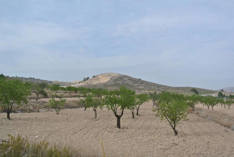 Se vende Terreno Rustico  en Costa Calida, Murcia, España