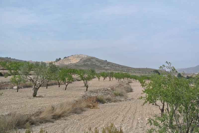 Se vende Terreno Rustico  en Costa Calida, Murcia, España
