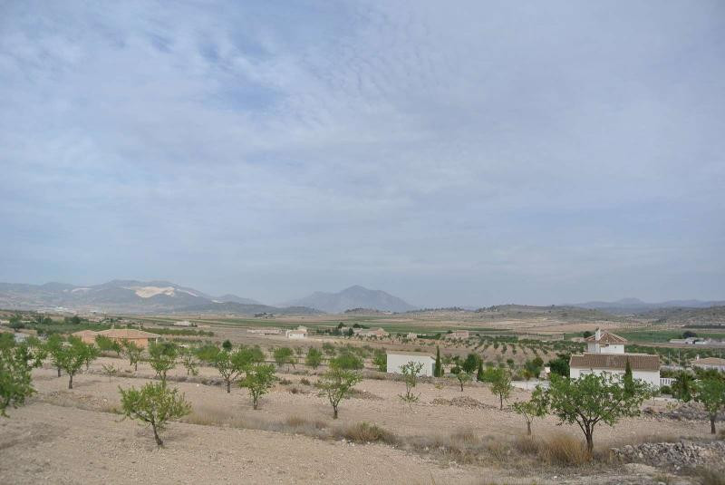 Se vende Terreno Rustico  en Costa Calida, Murcia, España