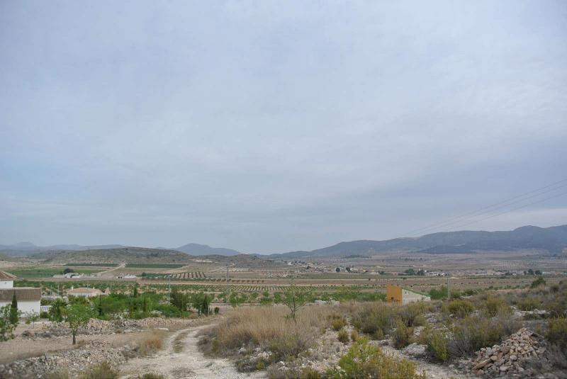 Se vende Terreno Rustico  en Costa Calida, Murcia, España